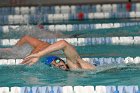 Swimming vs Babson  Wheaton College Swimming & Diving vs Babson College. - Photo By: KEITH NORDSTROM : Wheaton, Swimming